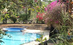 The Gecho Inn Country